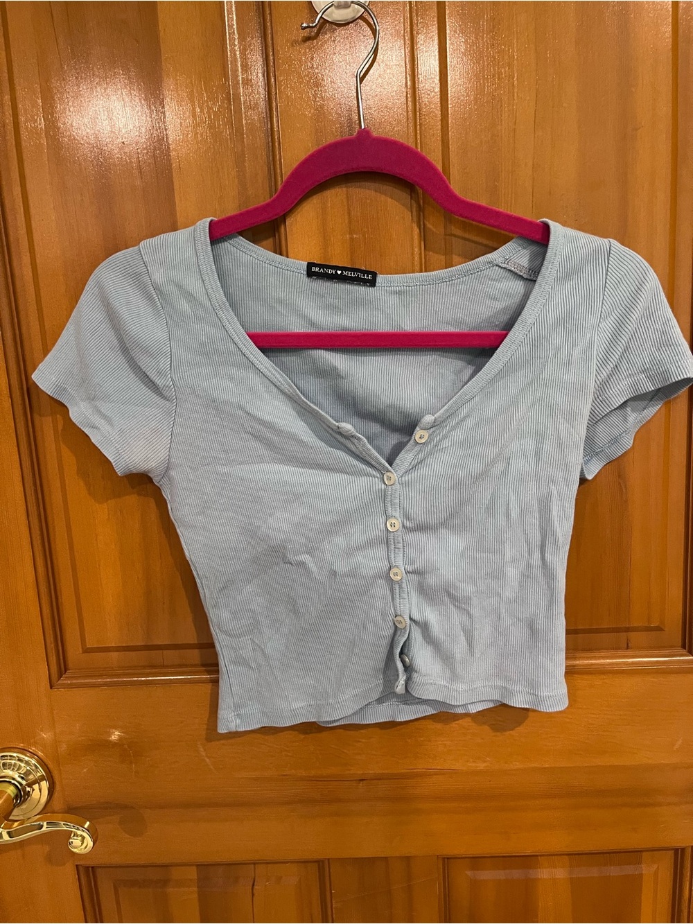 Brandy Melville Pale Blue Ribbed Button-Front Crop Tee